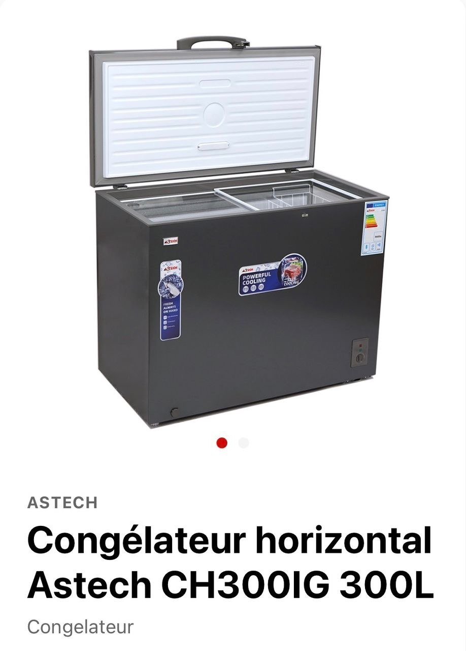 Congélateur Horizontale Grande Capacité 300 L